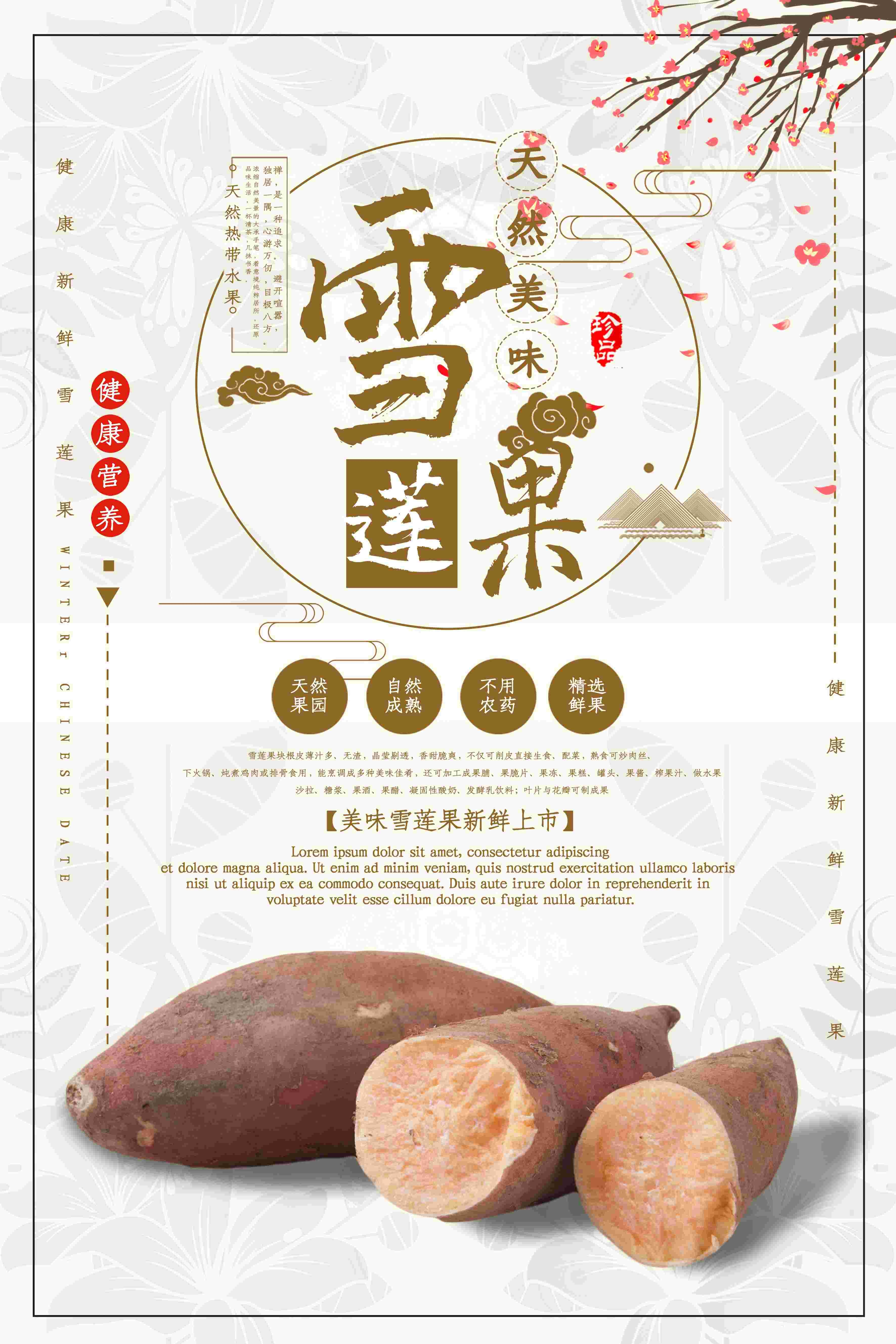 餐饮美食PSD海报模板天山雪莲雪莲果果蔬促销宣传单广告设计素4