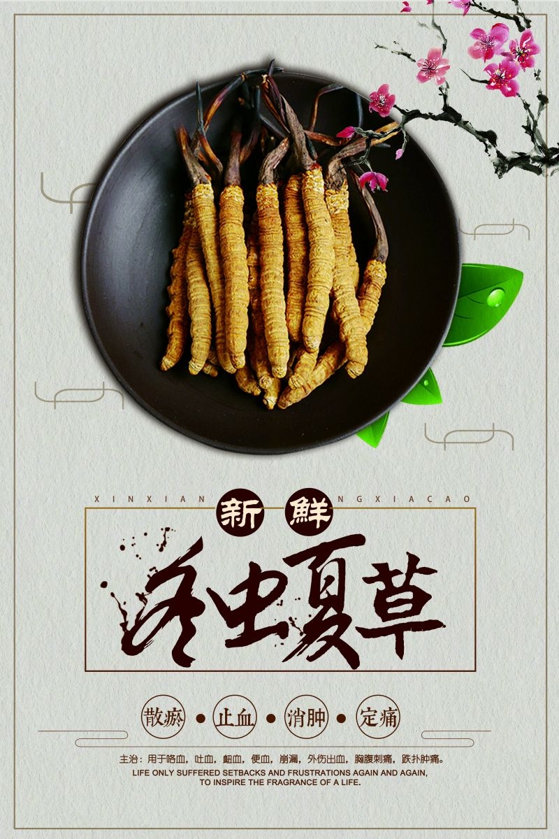 冬虫夏草食材促销宣传单海报背景模板10