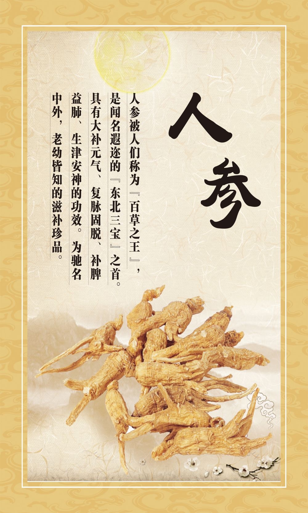 中药养生保健针灸理疗医院药房中医文化宣传挂画海报展板素材