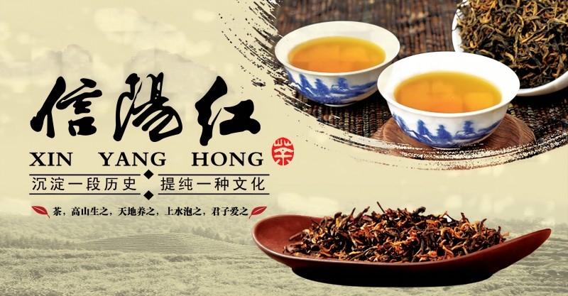 茶叶红茶促销宣传海报广告设计素材 (20)