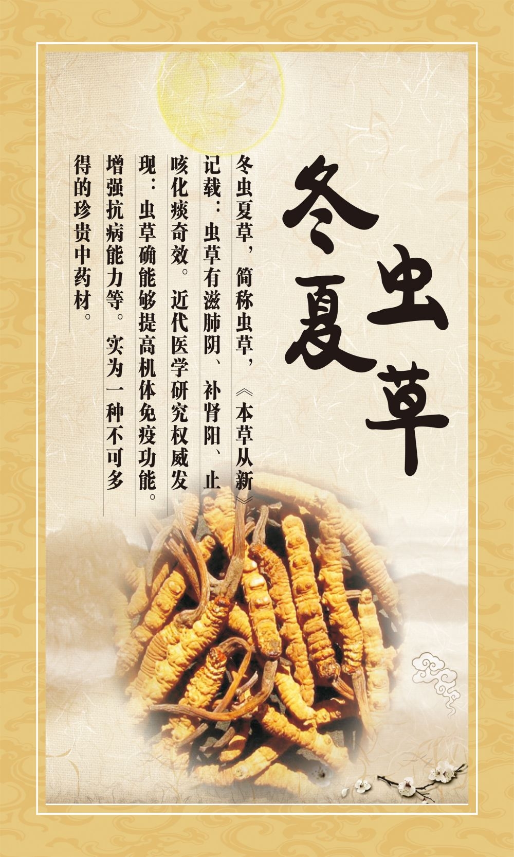 中药养生保健针灸理疗医院药房中医文化宣传挂画海报展板素材 (142)