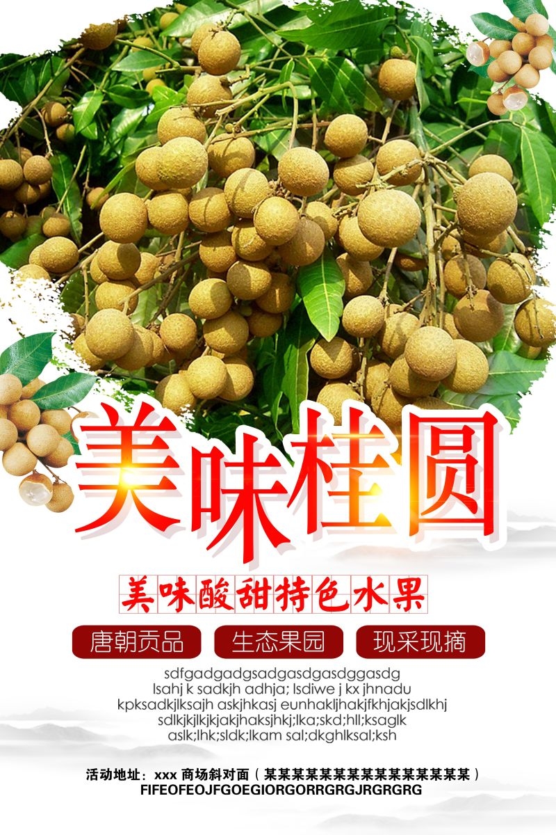 桂圆龙眼水果促销宣传单广告设计素材