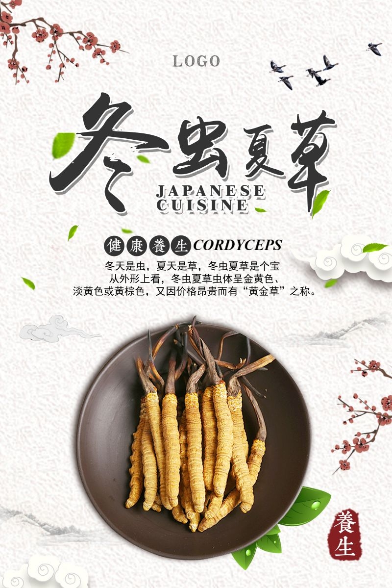 冬虫夏草食材促销宣传单海报背景模板30