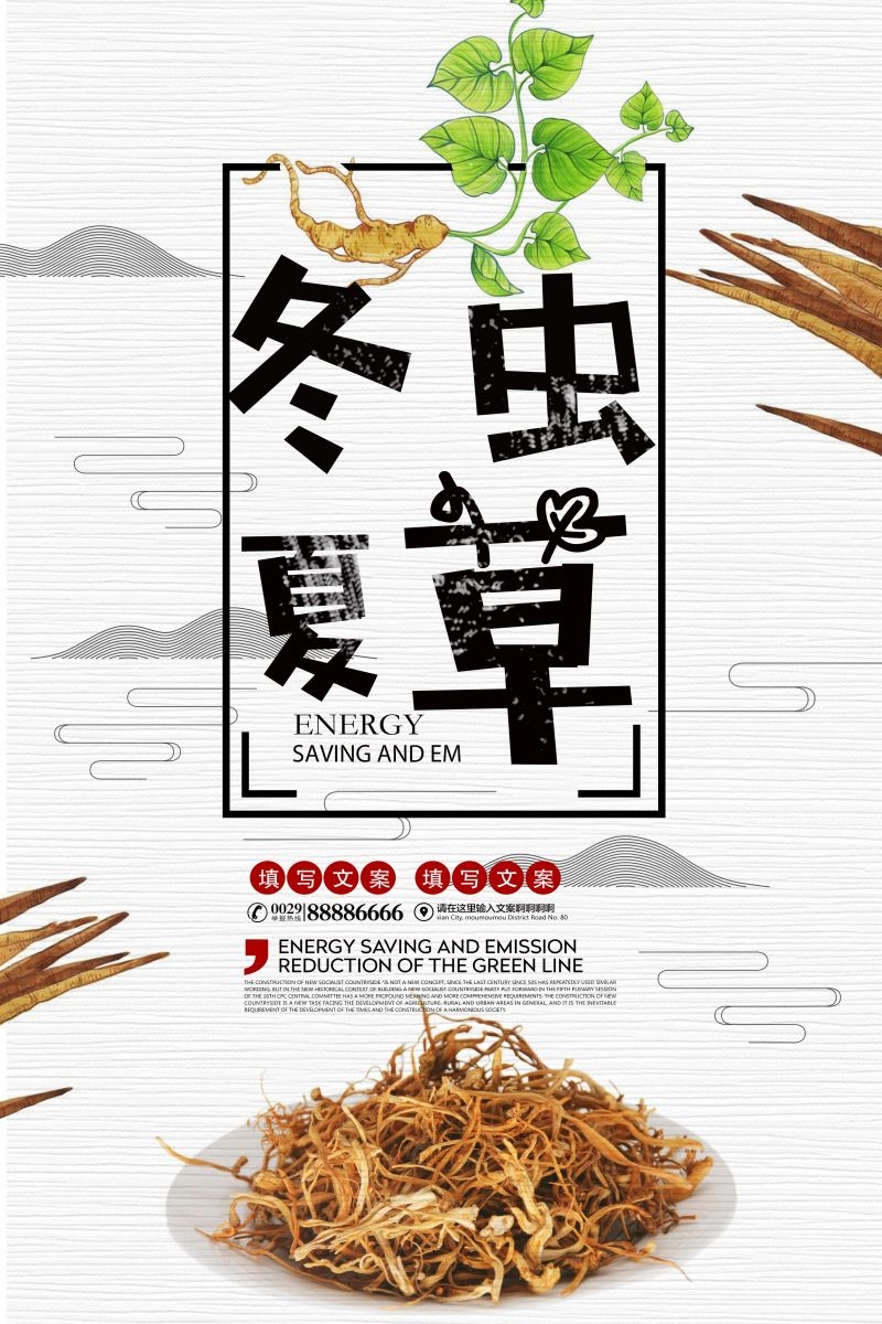 冬虫夏草食材促销宣传单海报背景模板20