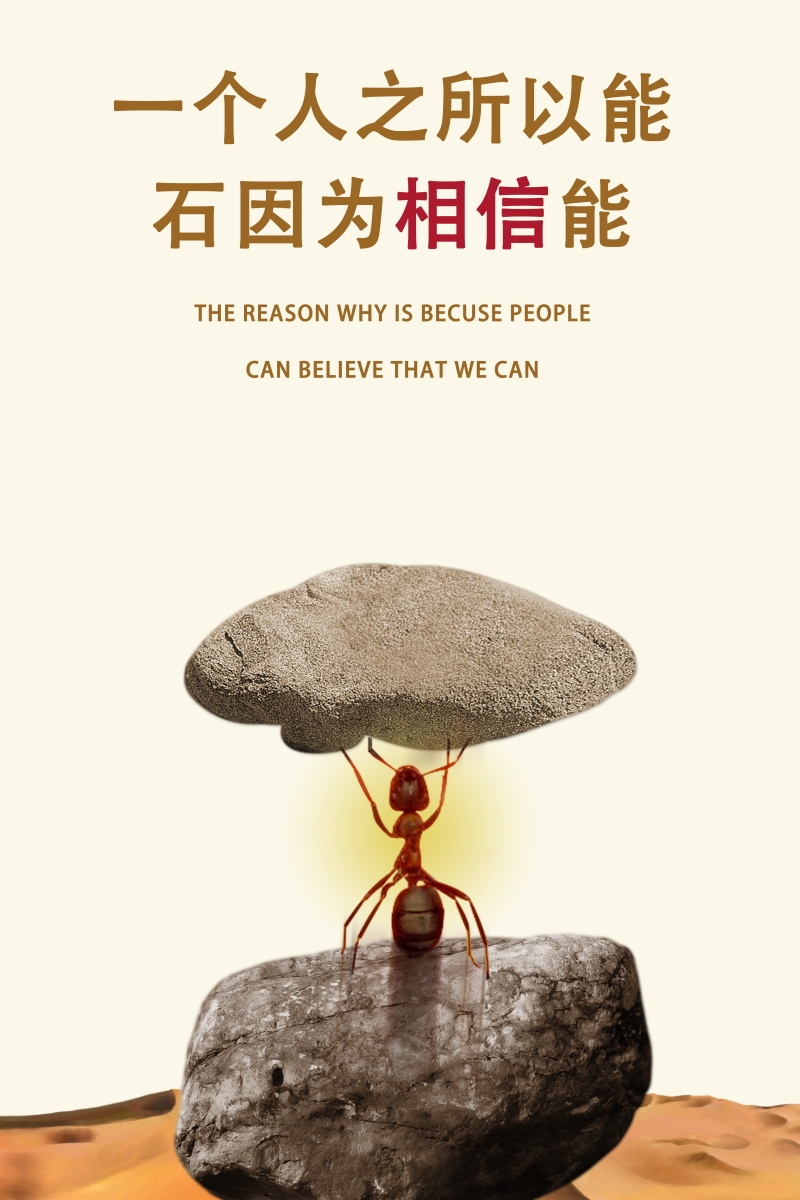 各类门店奶茶店猫咖装饰海报26