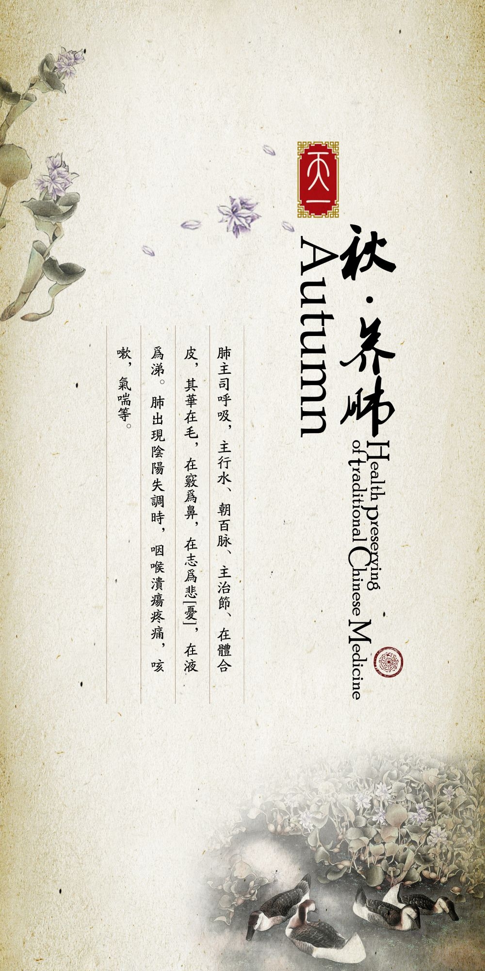 中药养生保健针灸理疗医院药房中医文化宣传挂画海报展板素材 (151)
