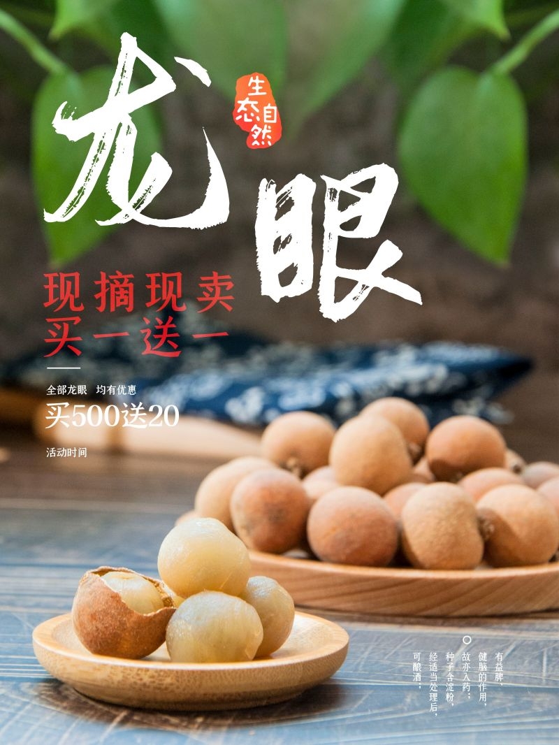 桂圆龙眼水果促销宣传单广告设计素材 (30)