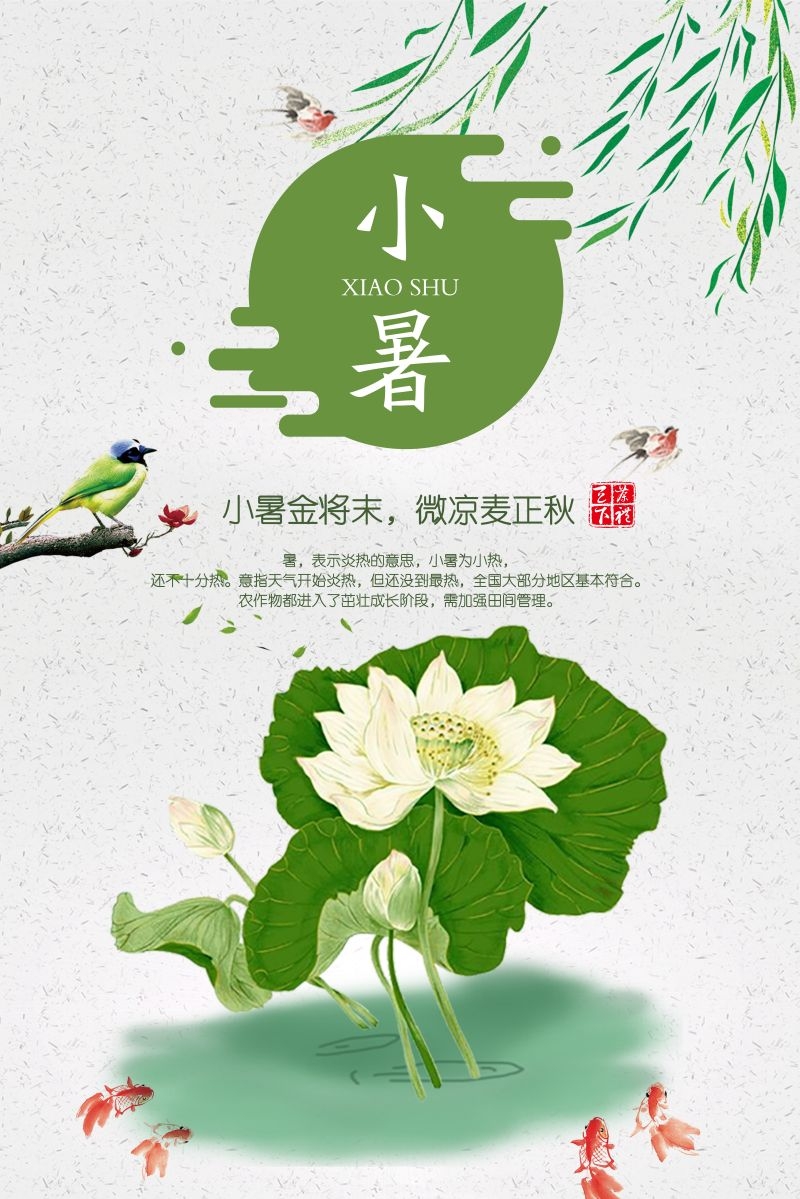 二十四节气小暑海报29