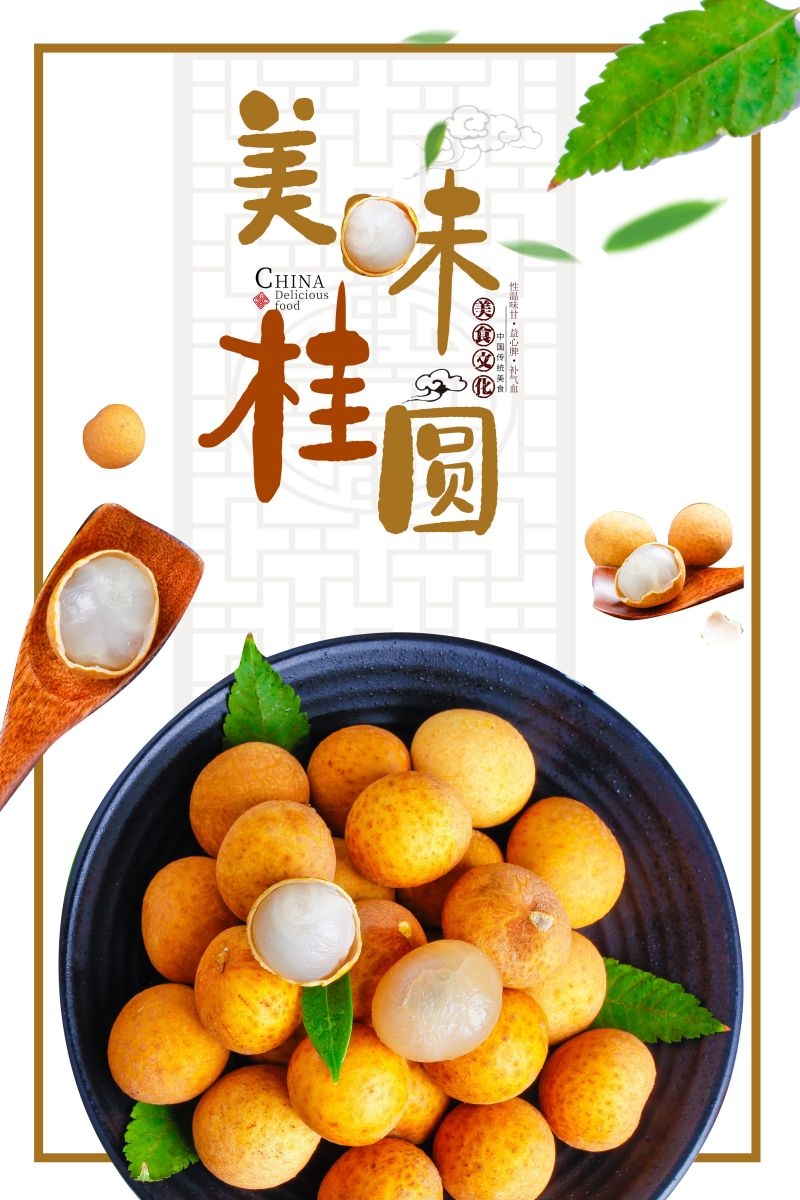 桂圆龙眼水果促销宣传单广告设计素材