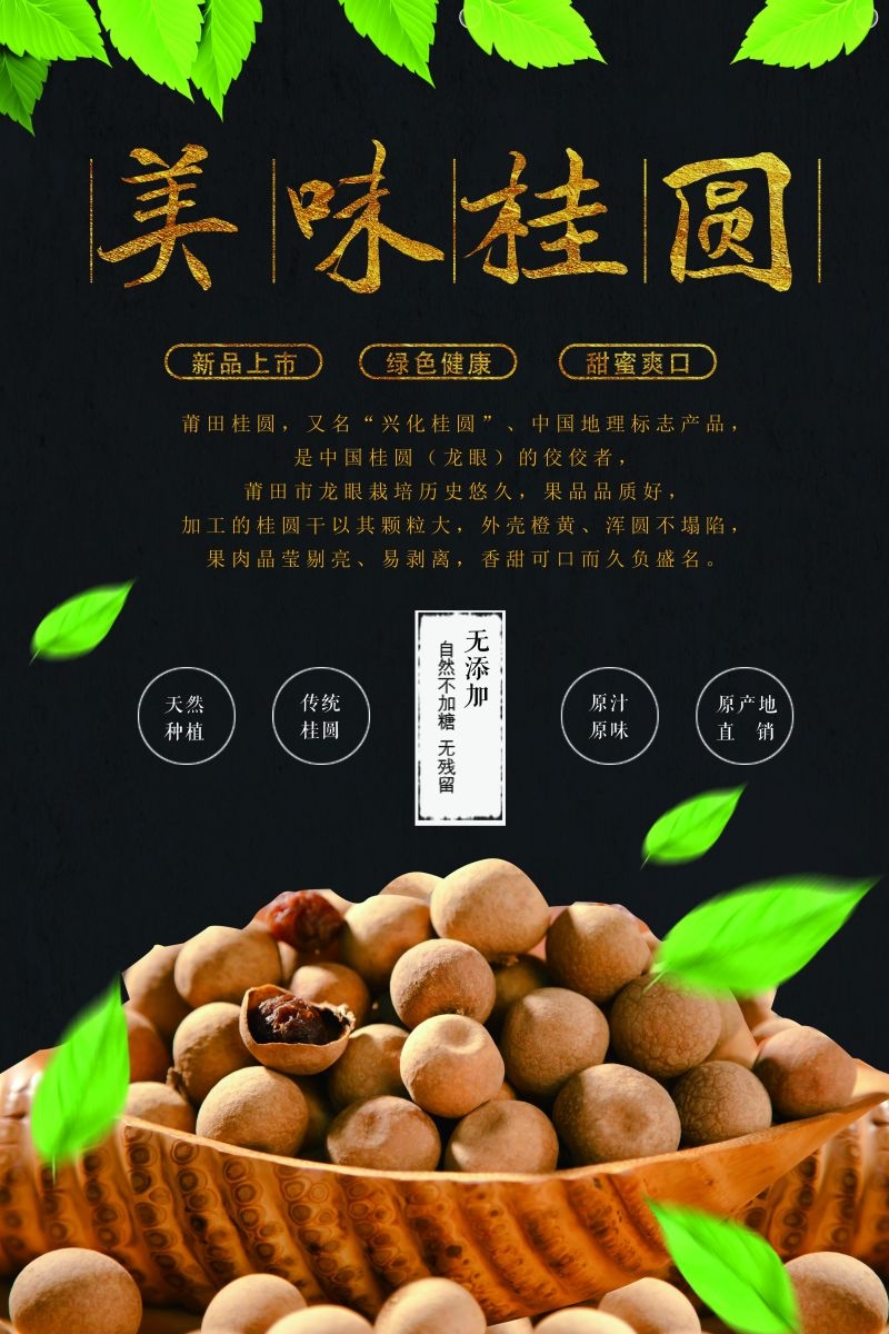 桂圆龙眼水果促销宣传单广告设计素材