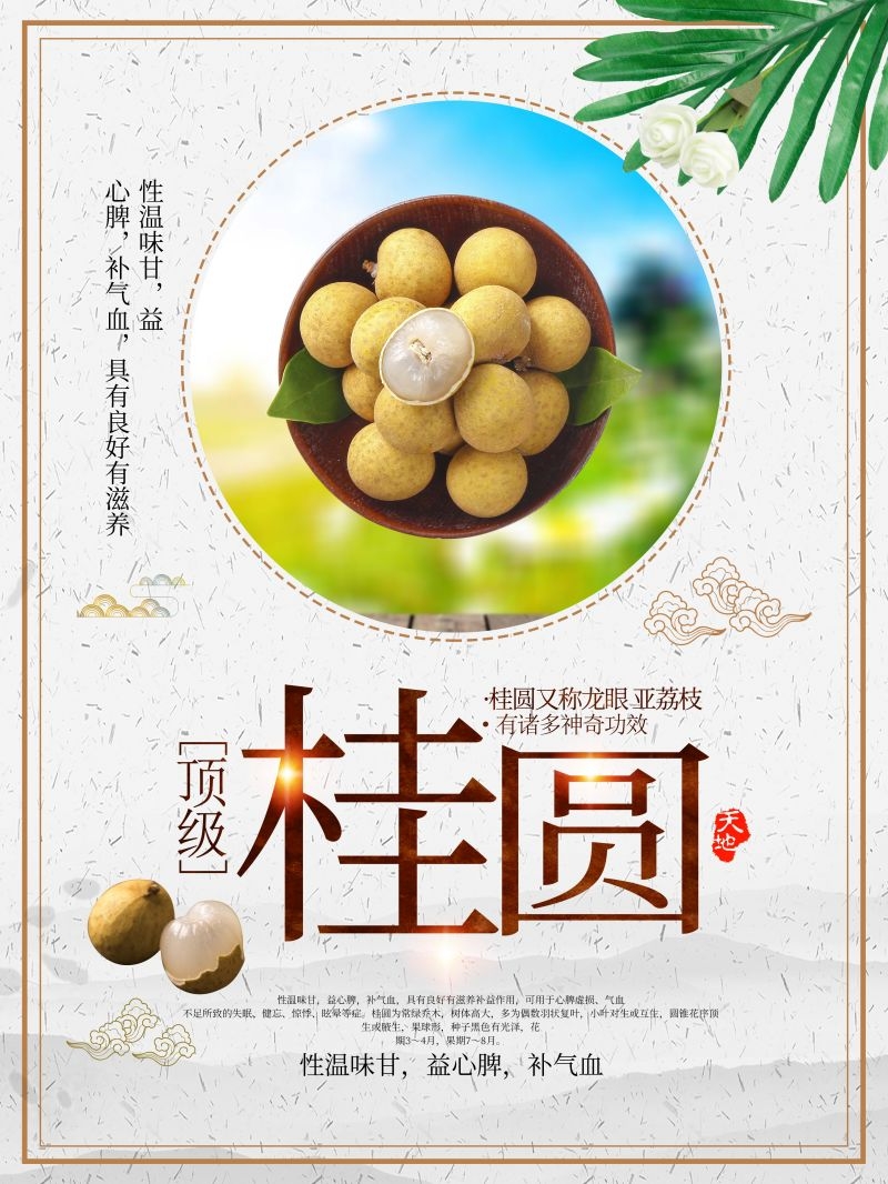 桂圆龙眼水果促销宣传单广告设计素材 (27)