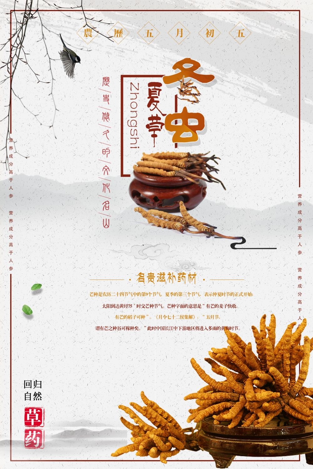 中药养生保健针灸理疗医院药房中医文化宣传挂画海报展板素材