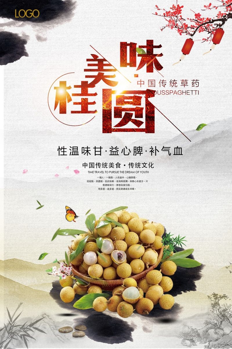 桂圆龙眼水果促销宣传单广告设计素材