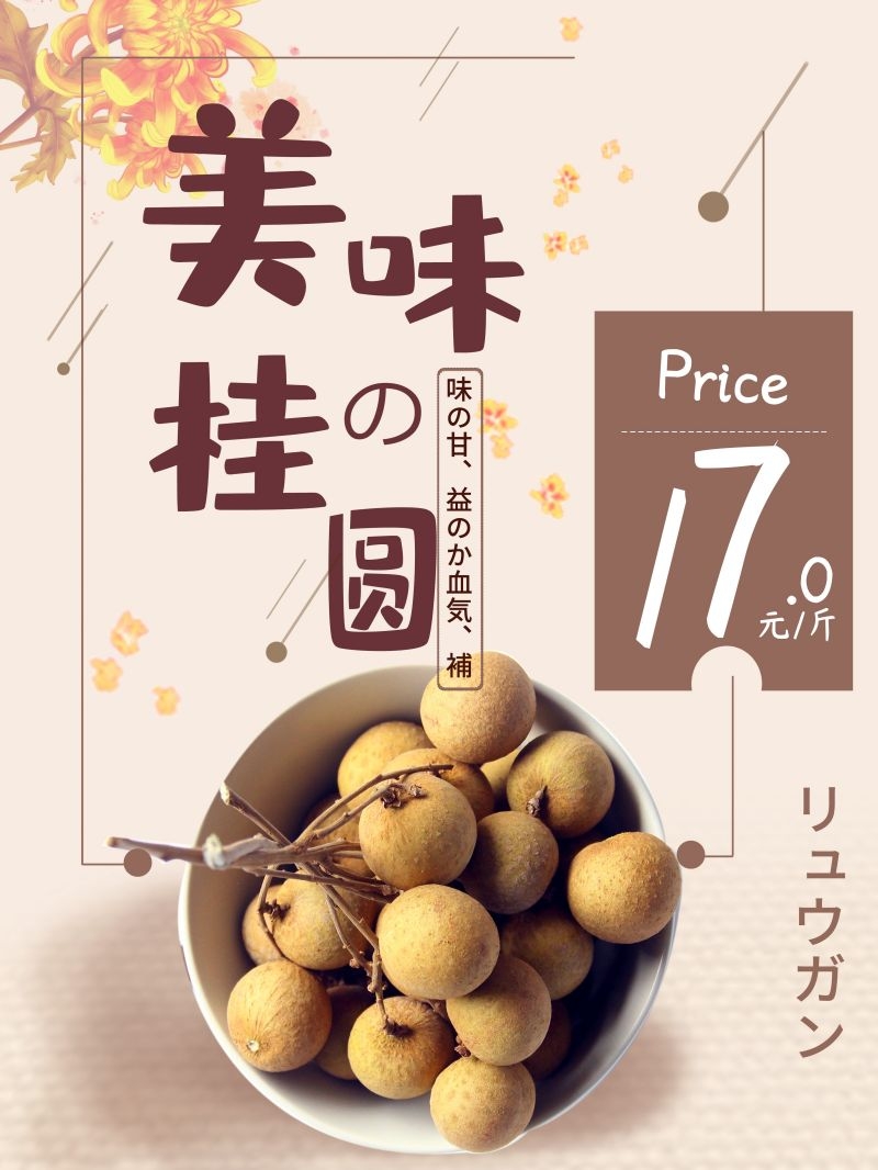 桂圆龙眼水果促销宣传单广告设计素材
