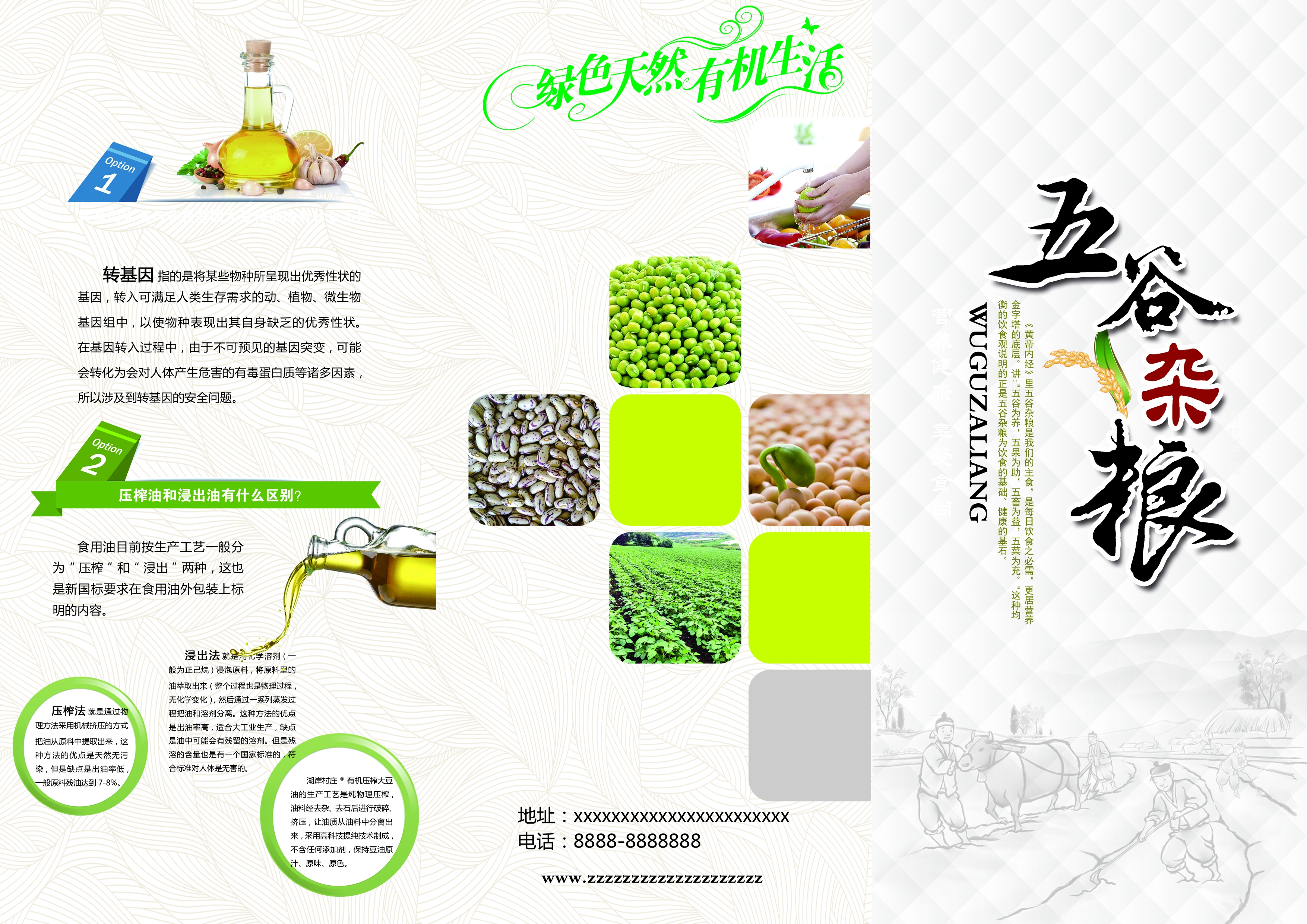 各类创意三折页138