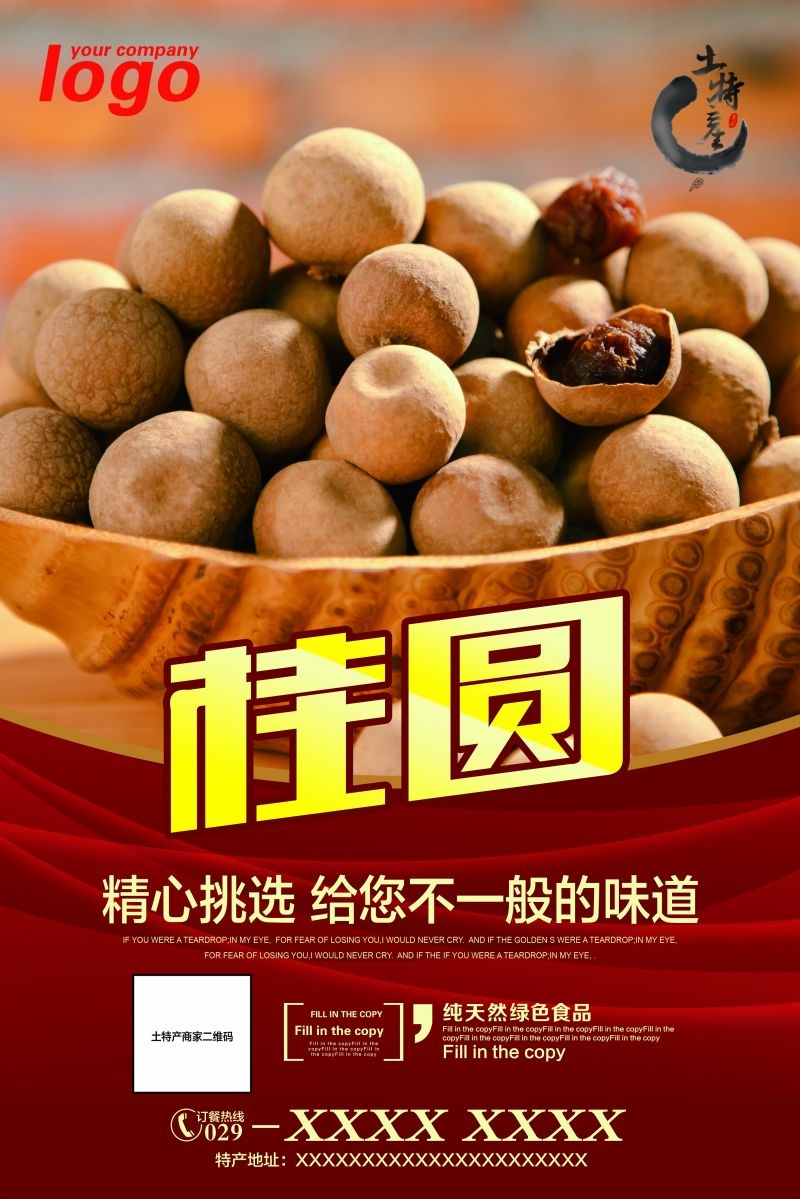 桂圆龙眼水果促销宣传单广告设计素材 (5)