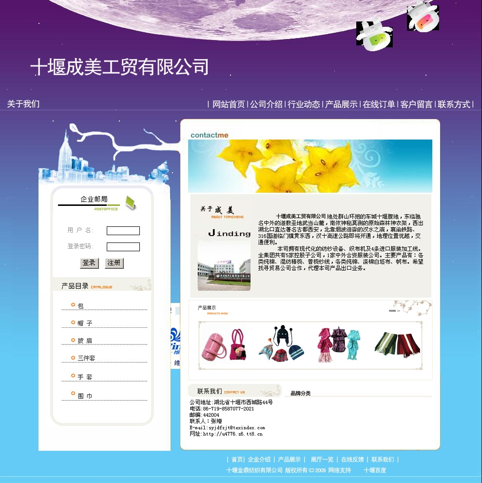 中文网站模板2