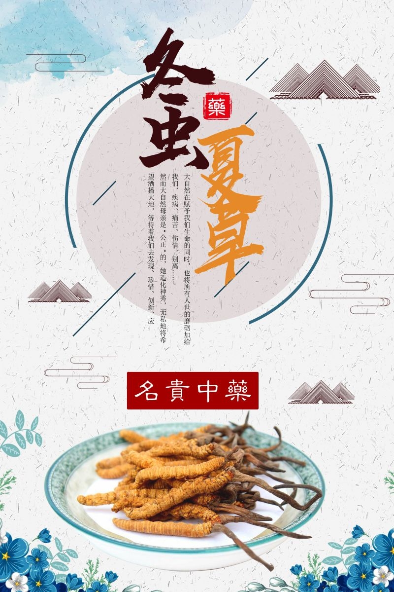 冬虫夏草食材促销宣传单海报背景模板6