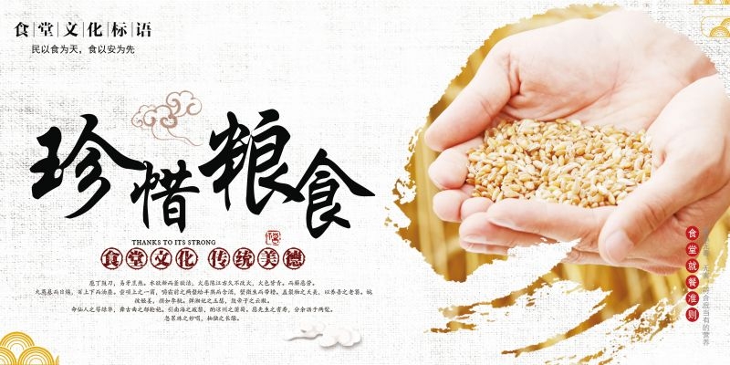 食堂餐馆饭店节约粮食光盘行动文化标语宣传海报展板模板 (21)
