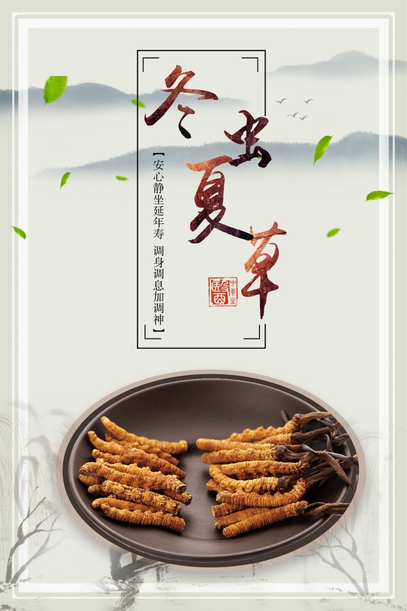 冬虫夏草食材促销宣传单海报背景模板12