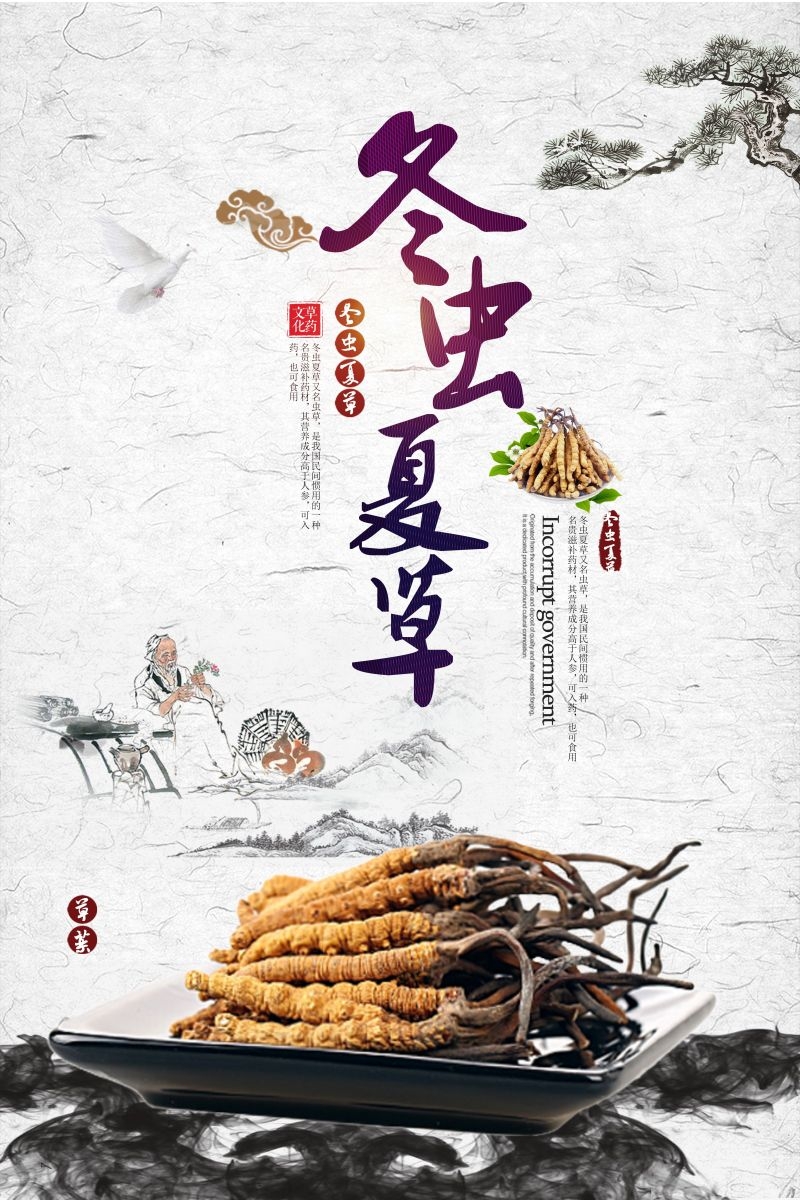冬虫夏草食材促销宣传单海报背景模板32