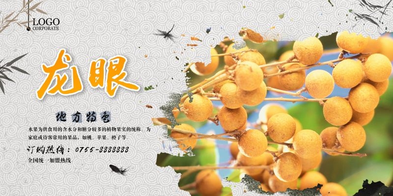 桂圆龙眼水果促销宣传单广告设计素材