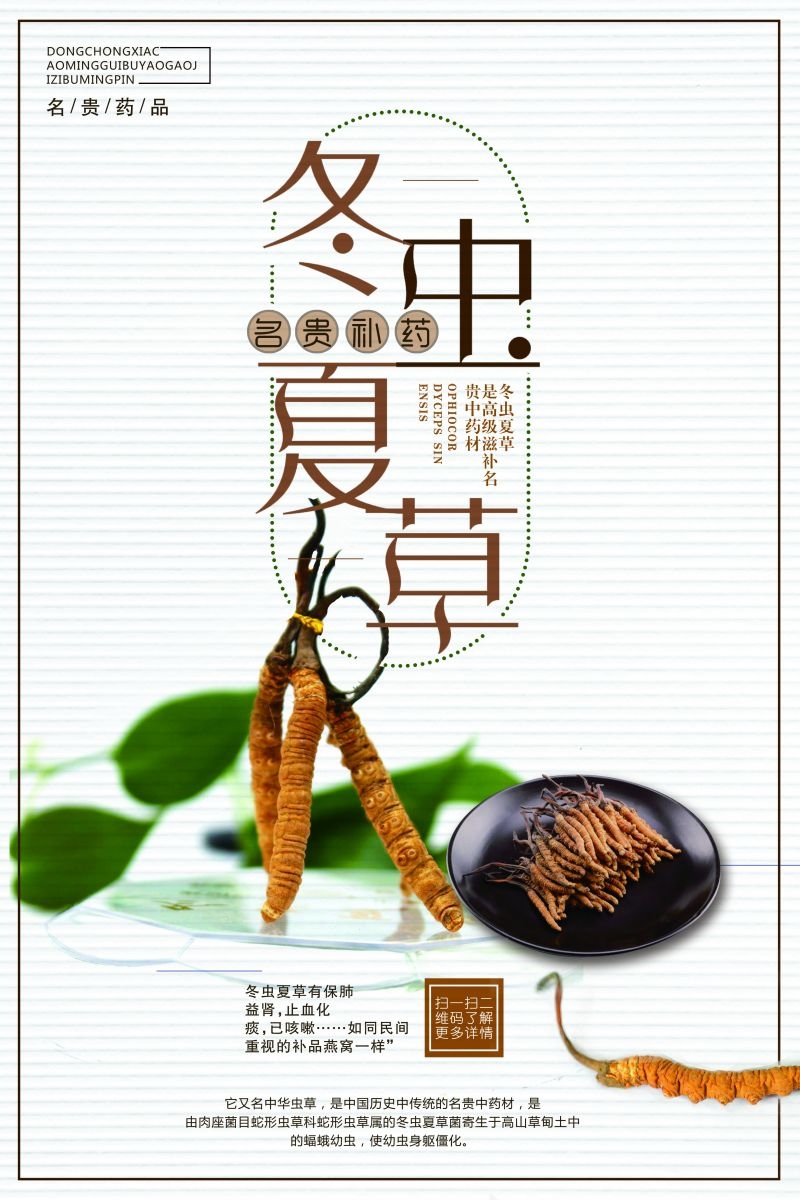 冬虫夏草食材促销宣传单海报背景模板17