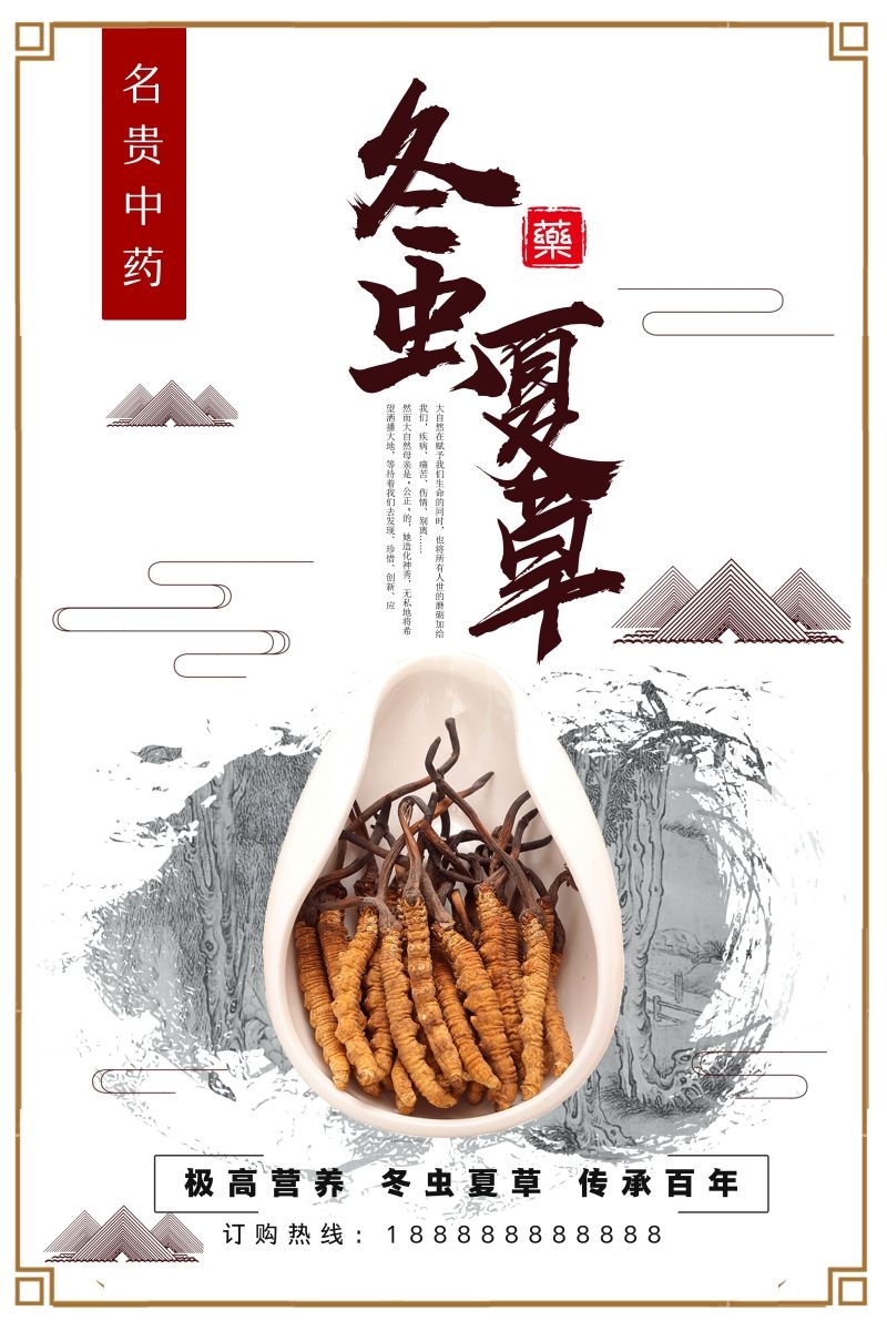 冬虫夏草食材促销宣传单海报背景模板23