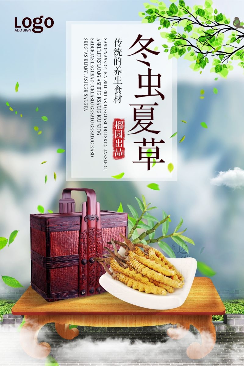冬虫夏草食材促销宣传单海报背景模板28