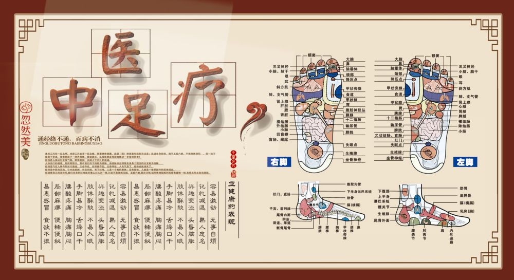 中药养生保健针灸理疗医院药房中医文化宣传挂画海报展板素材 (12)