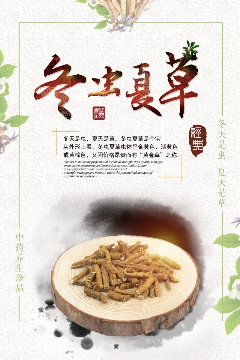 冬虫夏草食材促销宣传单海报背景模板5