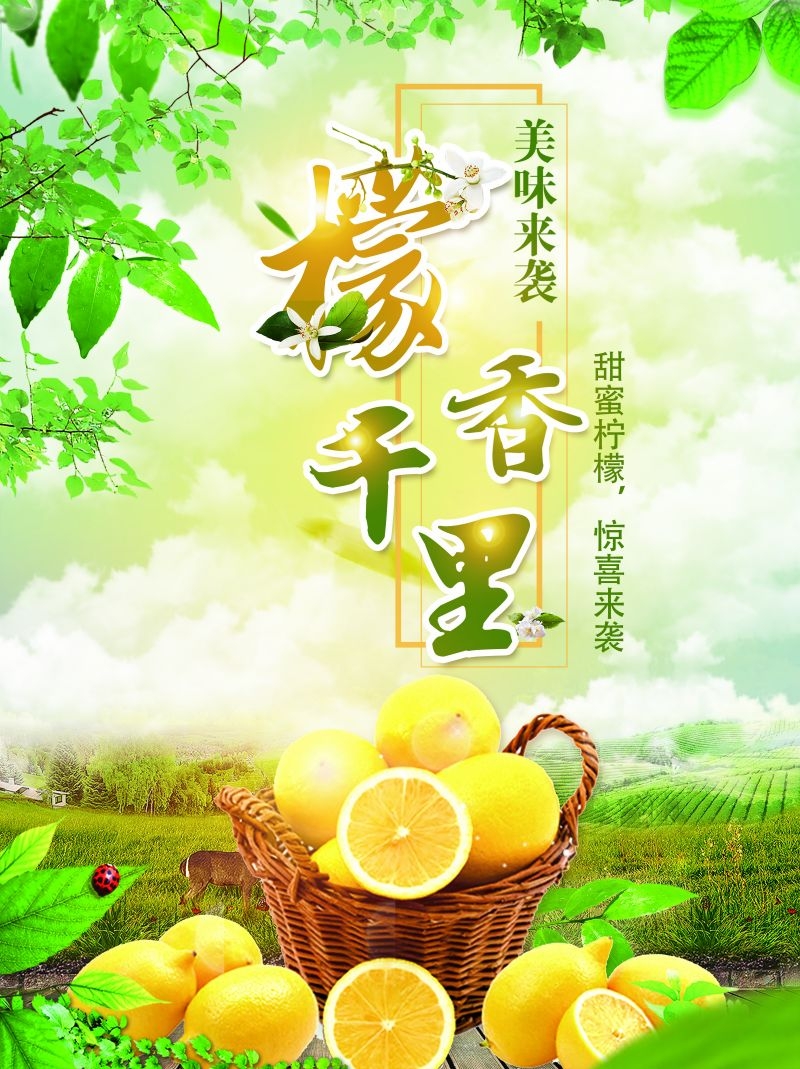 柠檬柠檬汁饮品促销宣传单广告设计素材