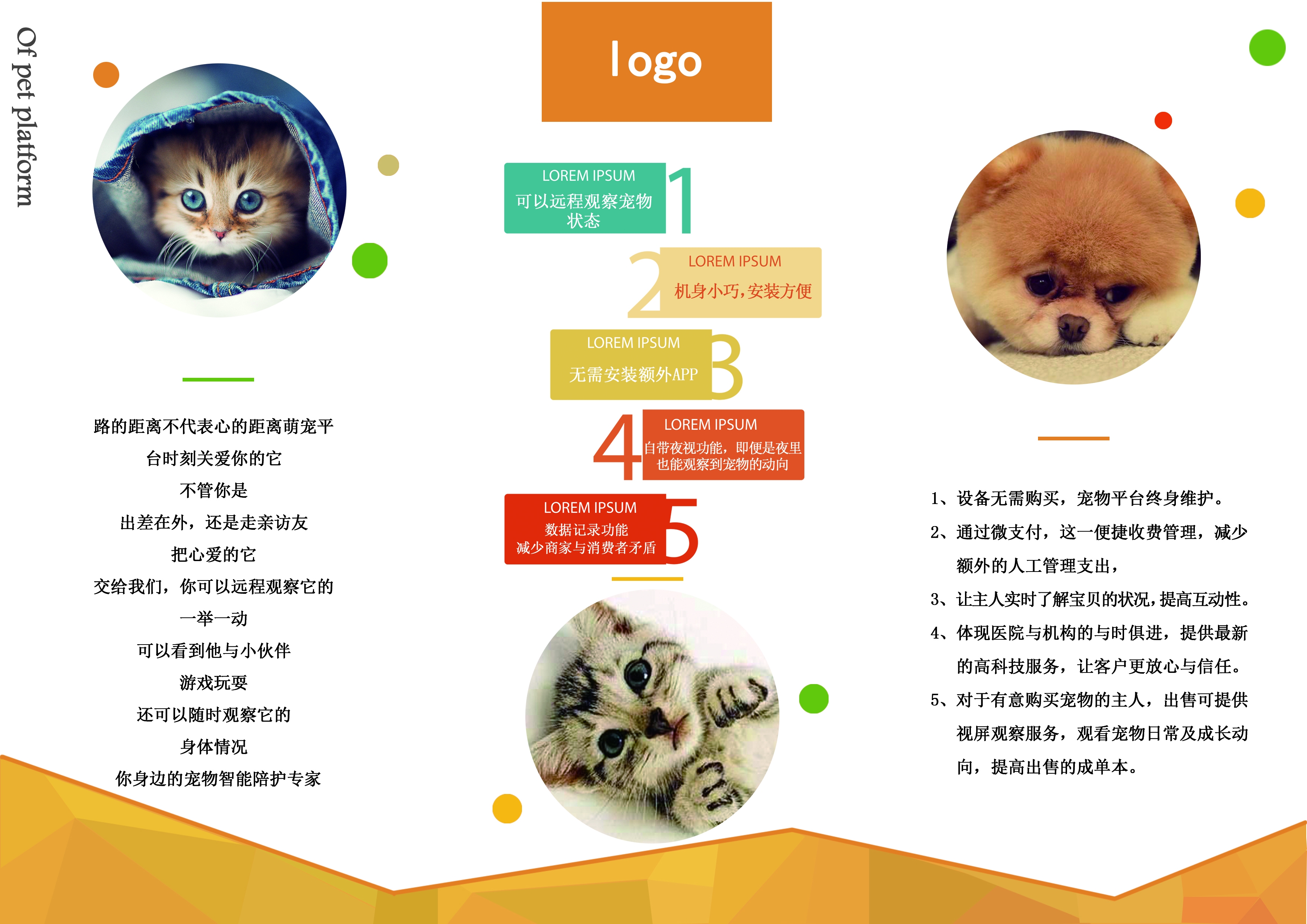 各类创意三折页169