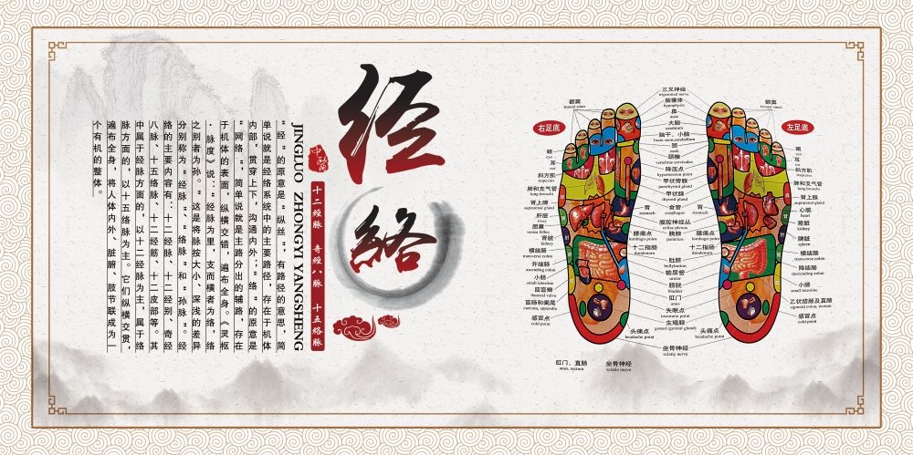 中药养生保健针灸理疗医院药房中医文化宣传挂画海报展板素材