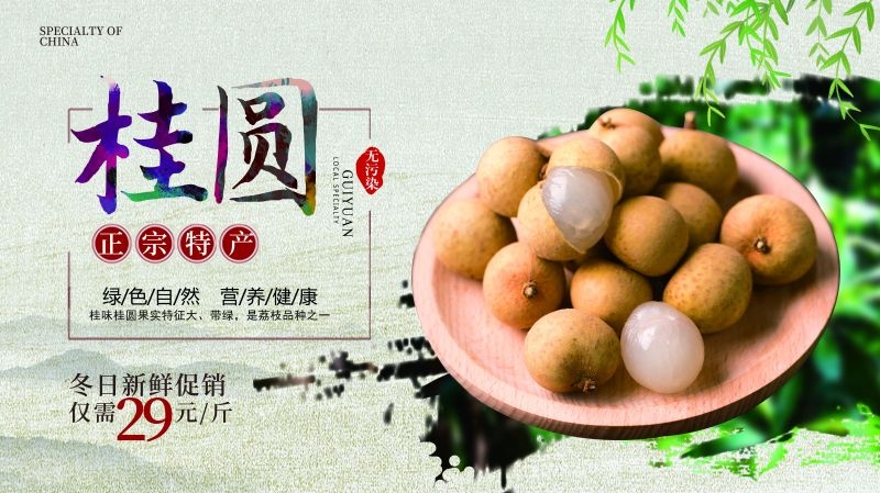桂圆龙眼水果促销宣传单广告设计素材