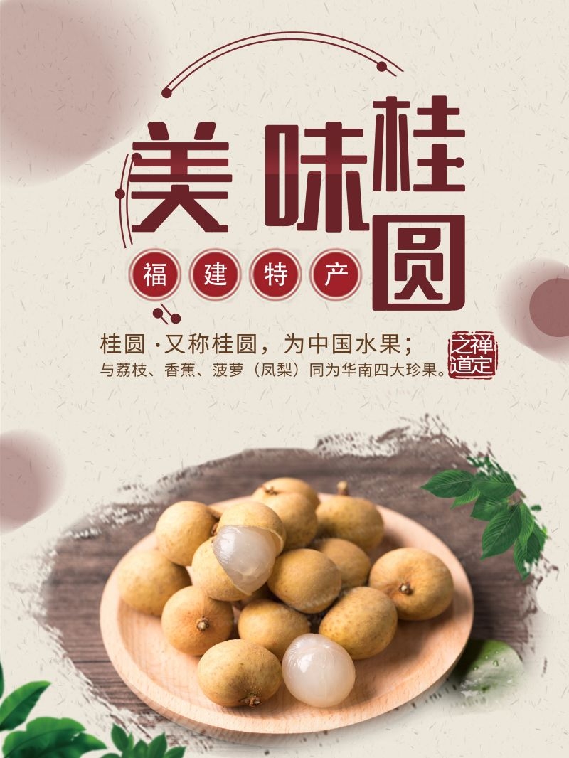 桂圆龙眼水果促销宣传单广告设计素材