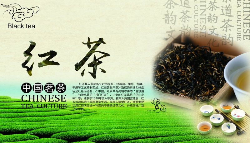茶叶红茶促销宣传海报广告设计素材