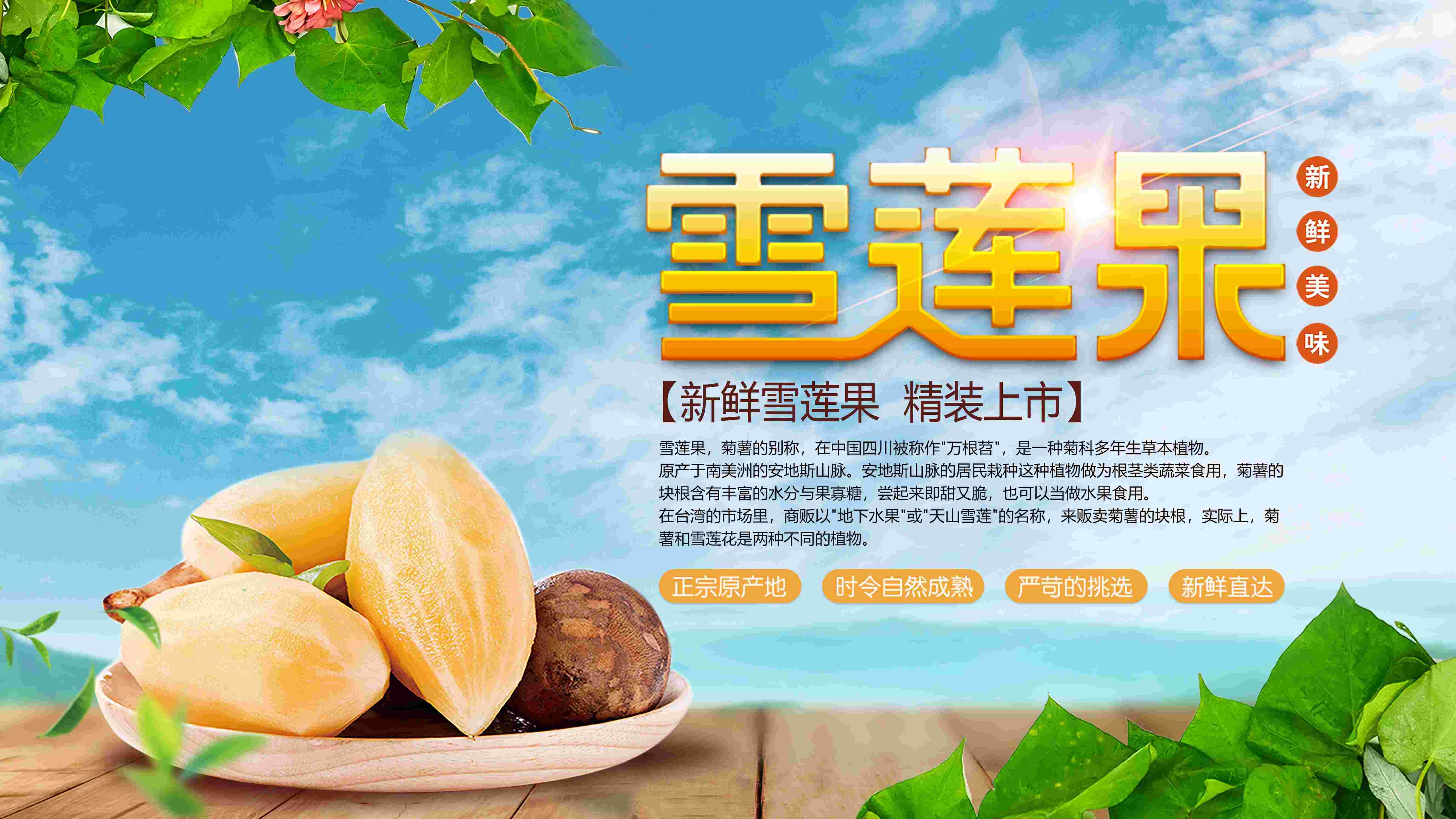 餐饮美食PSD海报模板天山雪莲雪莲果果蔬促销宣传单广告设计素1