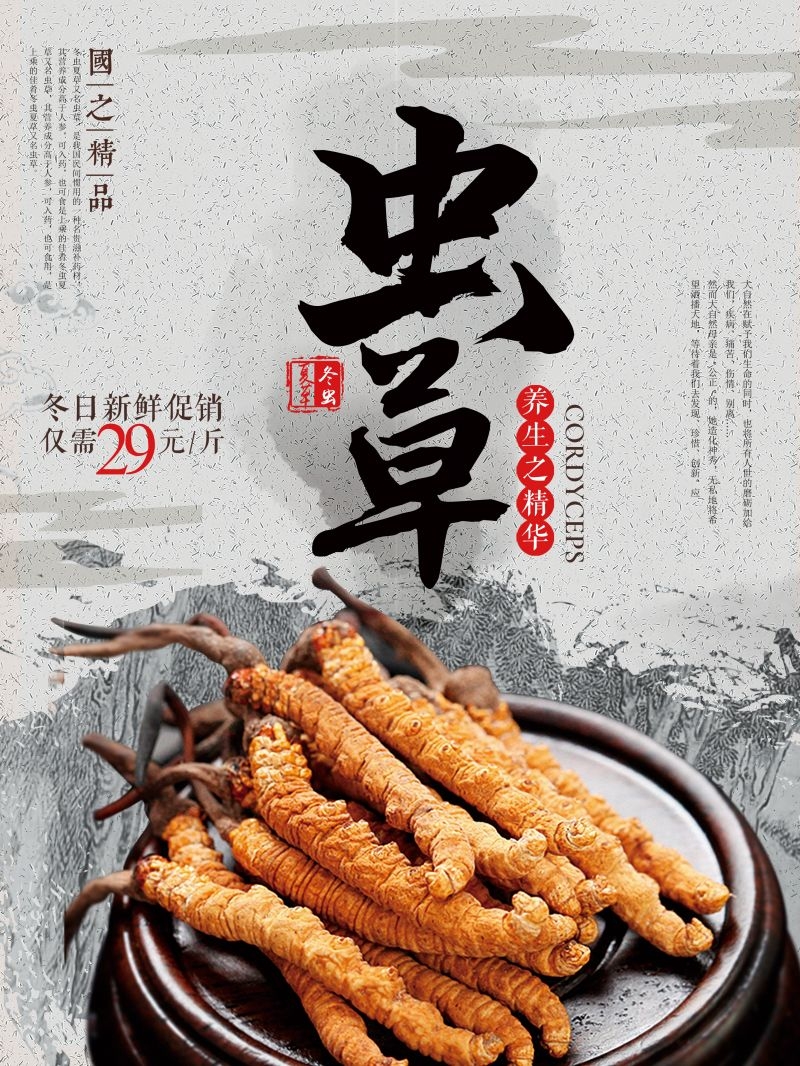 冬虫夏草食材促销宣传单海报背景模板29