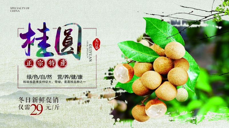 桂圆龙眼水果促销宣传单广告设计素材
