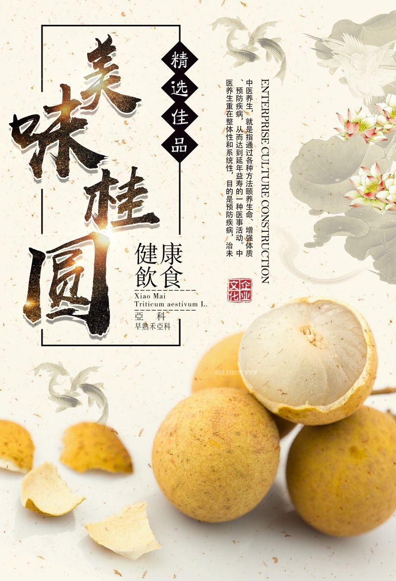 桂圆龙眼水果促销宣传单广告设计素材