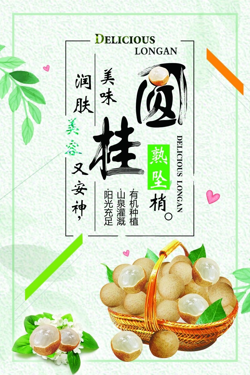 桂圆龙眼水果促销宣传单广告设计素材