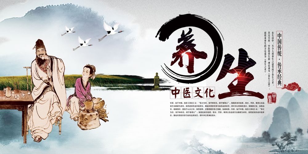 中药养生保健针灸理疗医院药房中医文化宣传挂画海报展板素材 (34)