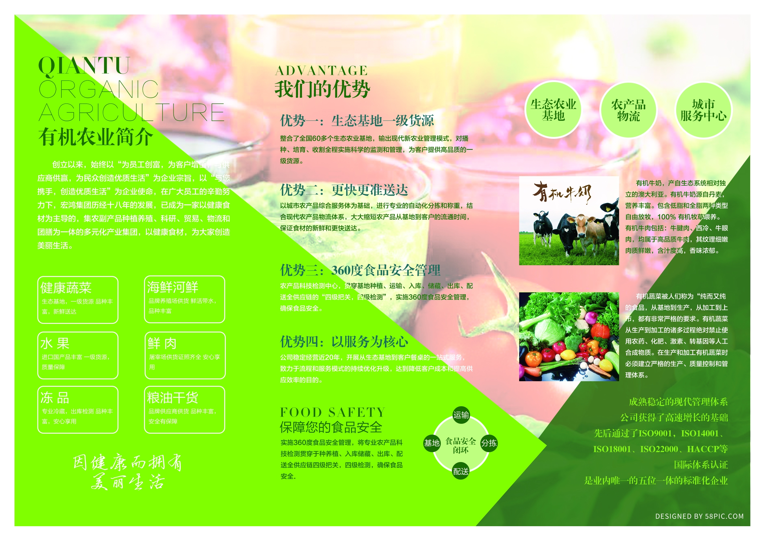 各类创意三折页49