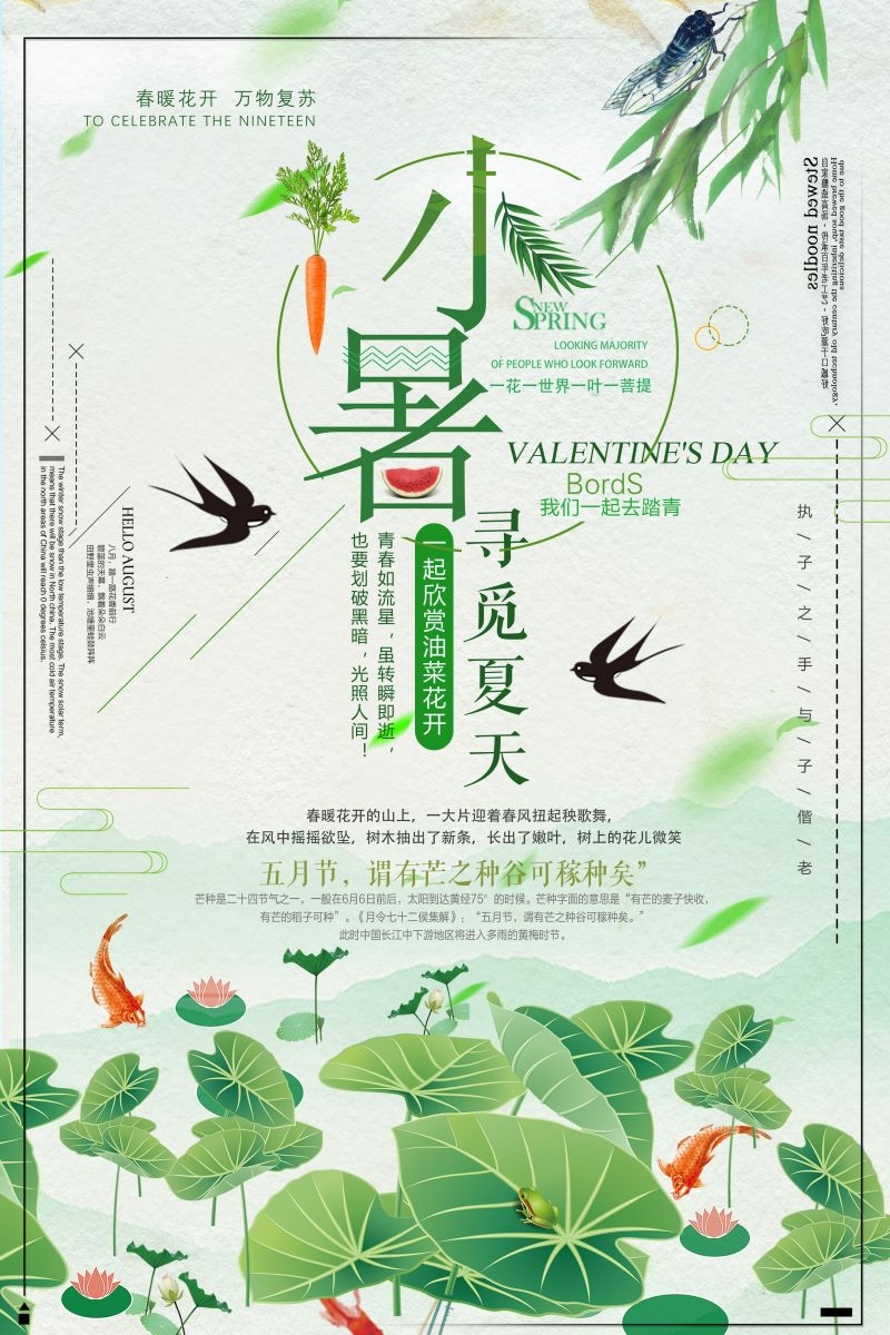 二十四节气小暑海报2