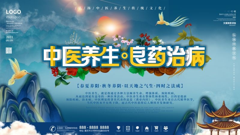 中医养生传统文化健康中国风宣传海报展板