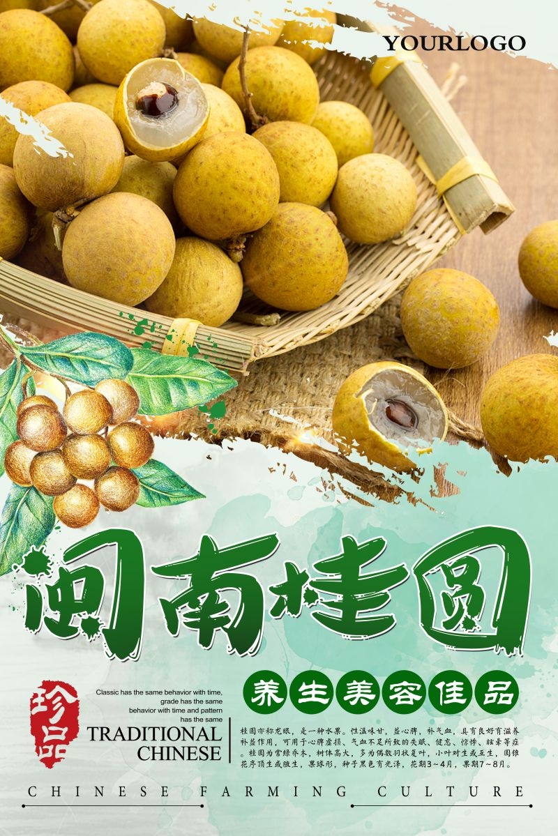 桂圆龙眼水果促销宣传单广告设计素材