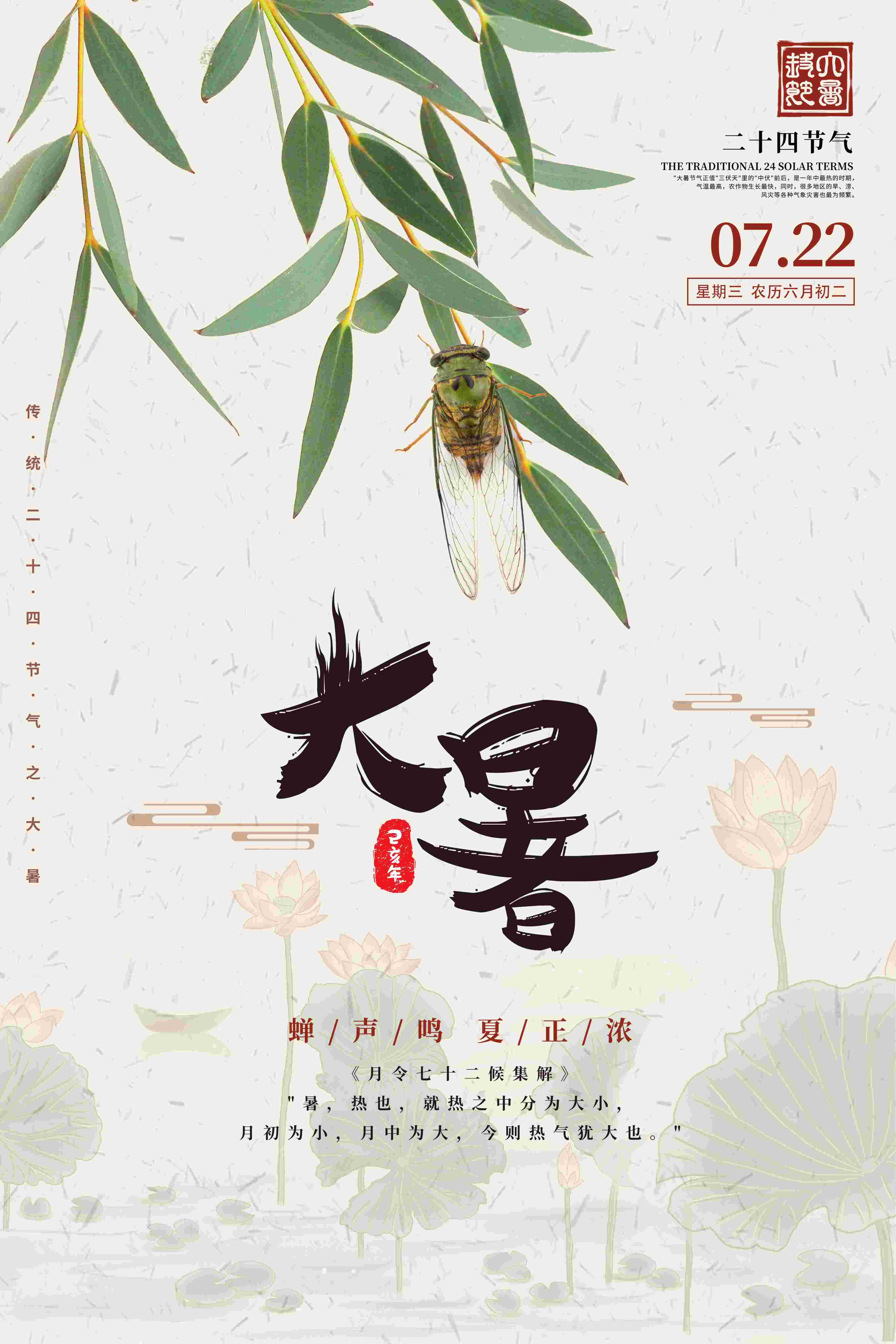 24节气二十四大暑节气夏日简约传统活动宣传海报素材PSD设计33