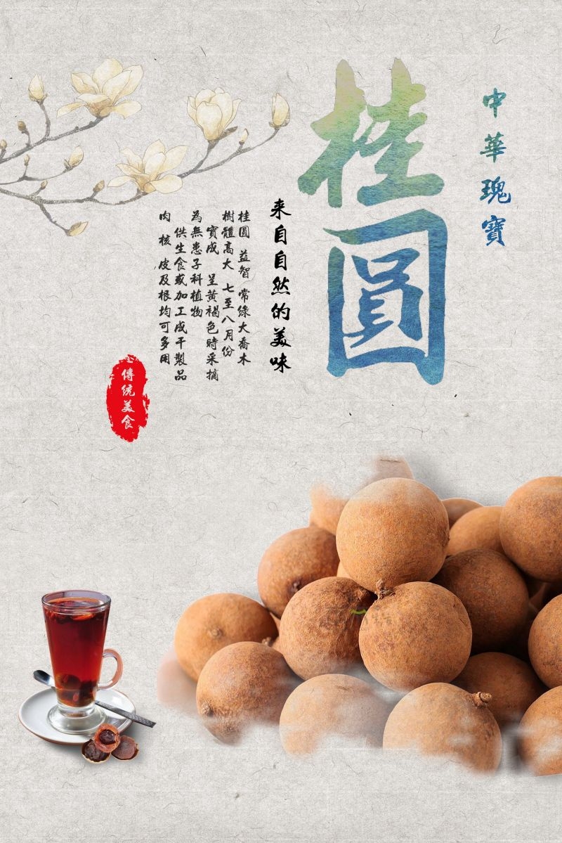 桂圆龙眼水果促销宣传单广告设计素材