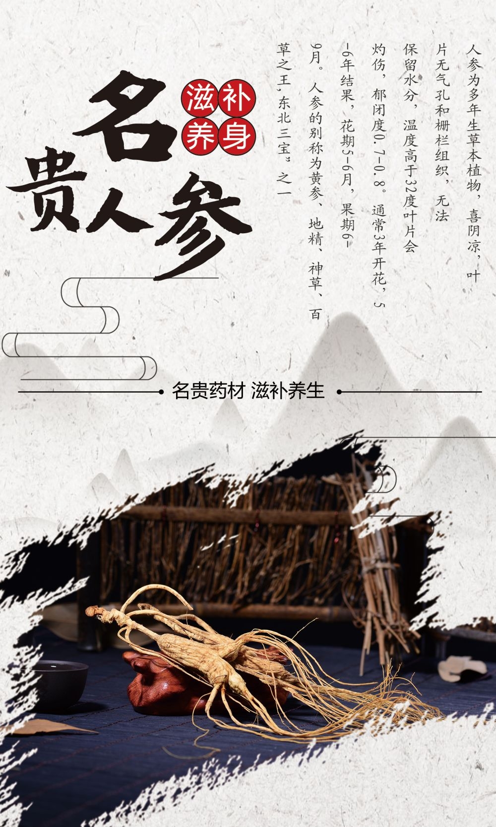 中药养生保健针灸理疗医院药房中医文化宣传挂画海报展板素材